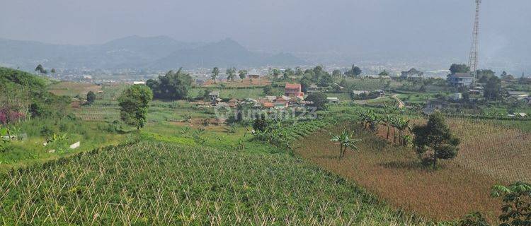 Di jual  tanah sukaresmi cianjur  kawasan taman bunga nusantara 1