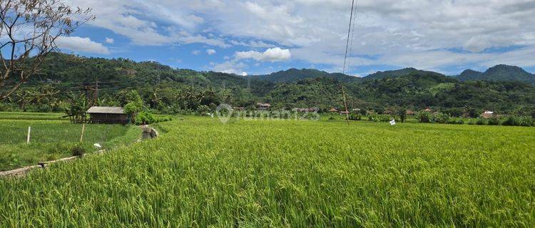 Di Jual Tanah Pantai Loji Sukabumi 1