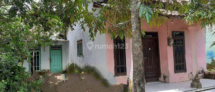 Dijual Rumah Yang Nyaman Dan Suasana Asri Di Kota Jember 1
