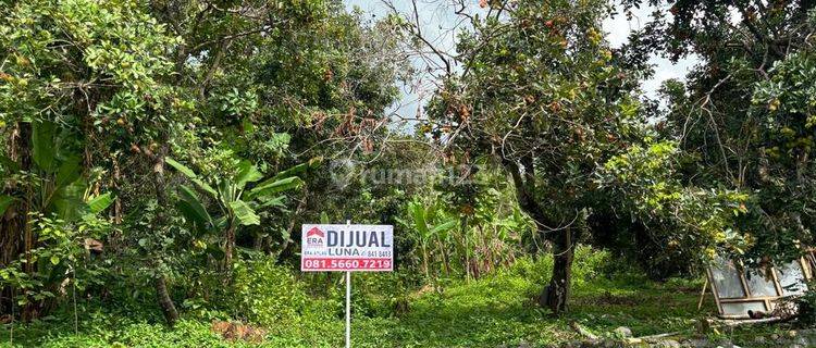 DIJUAL TANAH DEKAT PASAR BOJA 1