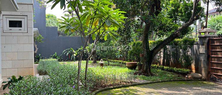 RUMAH MURAH CANTIK ASRI DI CILANDAK JAKARTA SELATAN 1