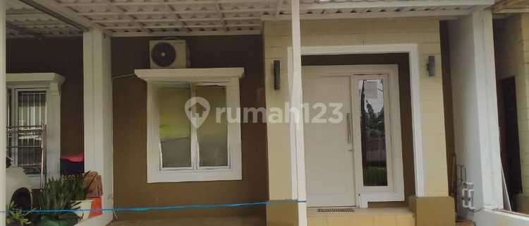 There is a Garden in Front of the House, Swimming Pool Facilities 1