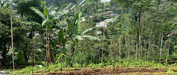 View Super Cantik 326m Kemuning, Karanganyar  1