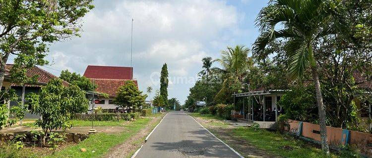 Kebun Durian Hanya 200 Juta Karanganyar  1