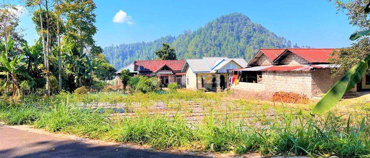 Tanah View Gunung Lawu Hanya 235 Juta Kemuning  1