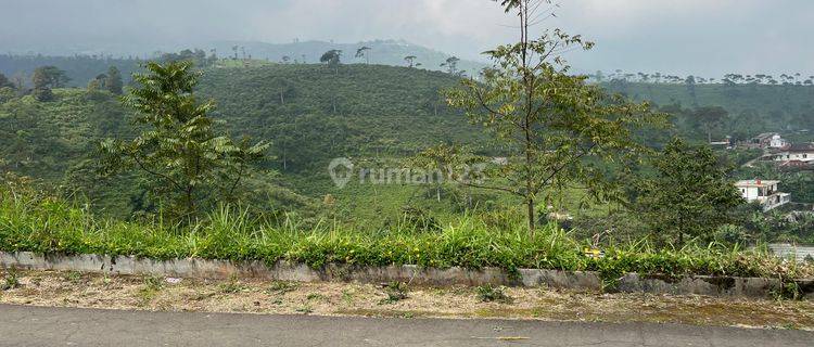 Tanah View Jembatan Kaca 100m2 Kemuning Karanganyar  1