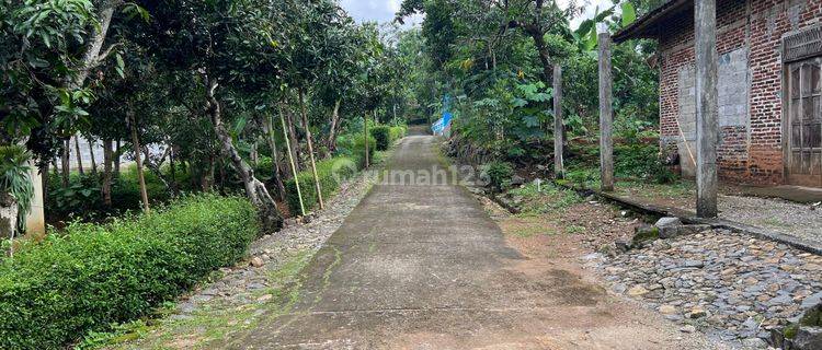 Dijual Tanah Full Pohon Alpukat 2216m2 Karanganyar Utara 1