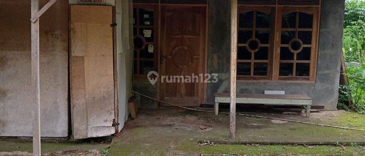 Tanah Kebun Durian Bonus Rumah Siap Huni Mojogedang  1