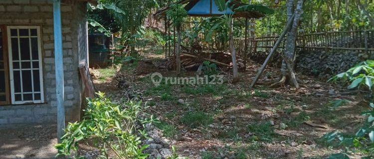 Tanah Rata Harga Sangat Murah, Cocok Untuk Tempat Pemukiman Nan Asri, di Wonosari. 1