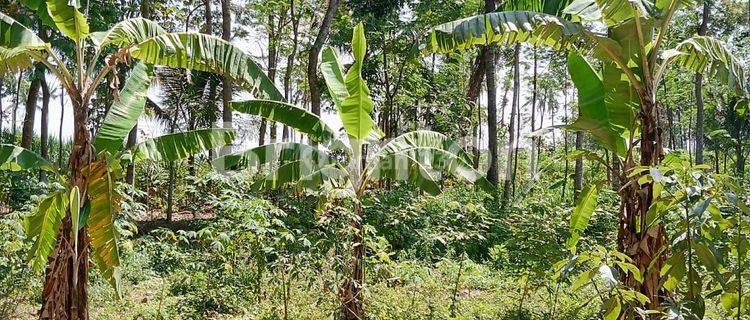 TANAH KAVLING KEDOK VILLAGE di TUREN 1