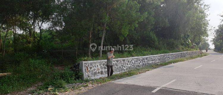 Tanah murah bisa bangun perumahan di karang anyar surakarta (tinggal mengurus zona) 1