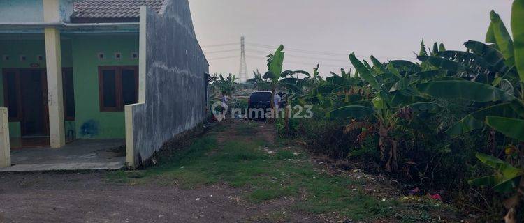 Tanah 1300 meter Cocok untuk perumahan, harga di bawah NJOP bukan tanah sawah 1