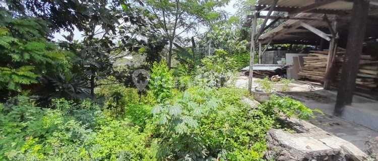 Dijual Tanah Kosong Siap Dibangun Daerah Ngaliyan (CNIG) 1