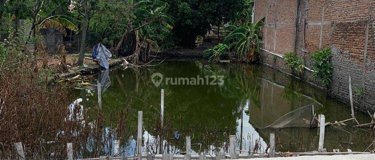 Dijual Tanah Kosong Murah Siap Bangun Daerah Genuk 1