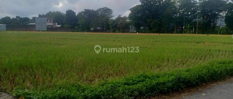 Disewakan Tanah Dekat Dari Terminal Jombor 1