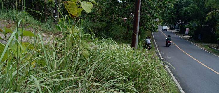 Tanah Luas 7822 Meter Persegi Lokasi Strategis Jl Nasional Gunung Kidul 1