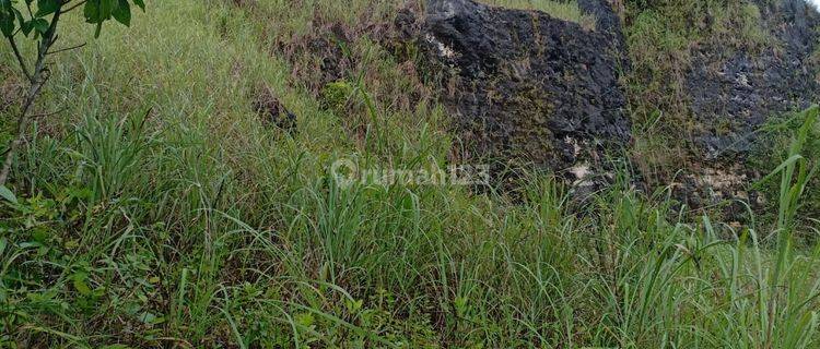 Tanah Luas 12.320 Meter Persegi Lokasi Gunung Krambil Ponjong Gunung Kidul 1