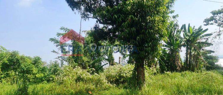 Tanah luas lokasi strategis cocok untuk gudang 1
