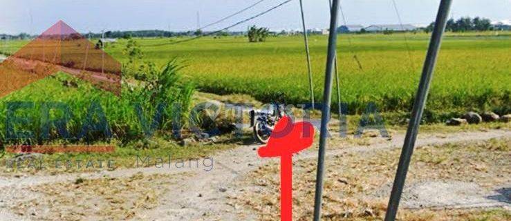 Tanah Luas Dekat Jalan Raya Nganjuk Gondang 1