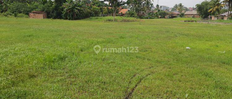 Jual Tanah 8500 M2 Kota Jambi Cocok Untuk Investasi 1