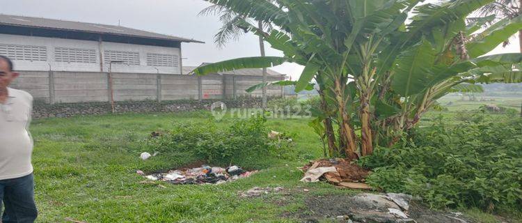 Dijual Tanah 4,2 Hektar Panongan Tangerang 1,2 Jt 1