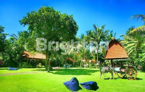 Boutique Resort dekat jl raya Dps - Gilimanuk dan pantai Moding 1