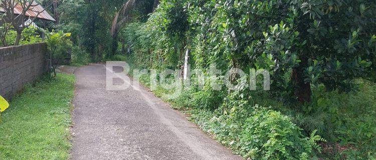 Lahan 100 meter dari pantai Buitan di Tejakula, Buleleng 1