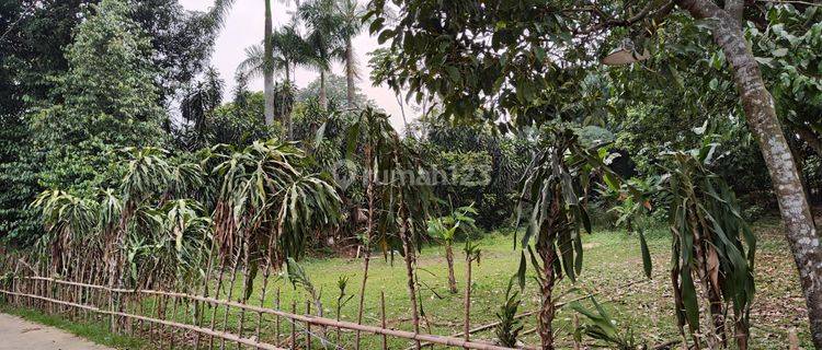 Tanah Datar Shm 932 M2 Di Gg Lumong, Curug, Gunung Sindur, Bogor 1