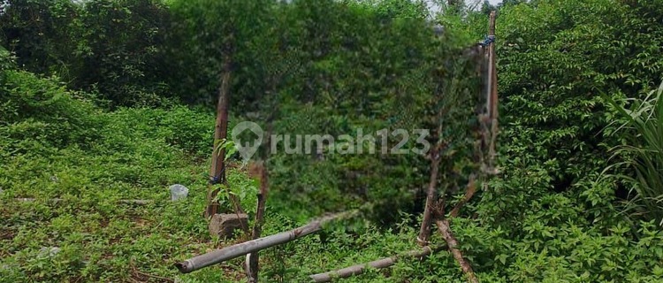(JKTSC958) Disewakan Tanah Pinggir Jalan, Tigaraksa 1