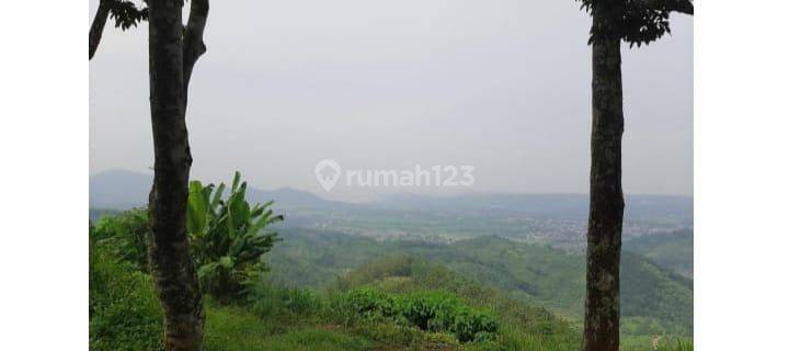 Tanah di Jalan Utama Transyogi Jonggol - Cianjur Jawa Barat
 1