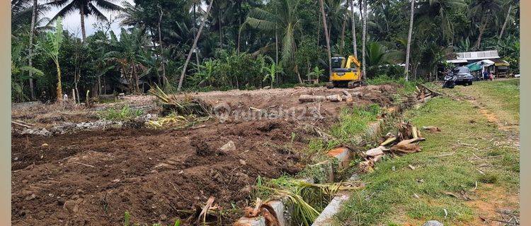 Tanah View Sawah Siap AJB 7 Menit Bandara YIA Jogja 1