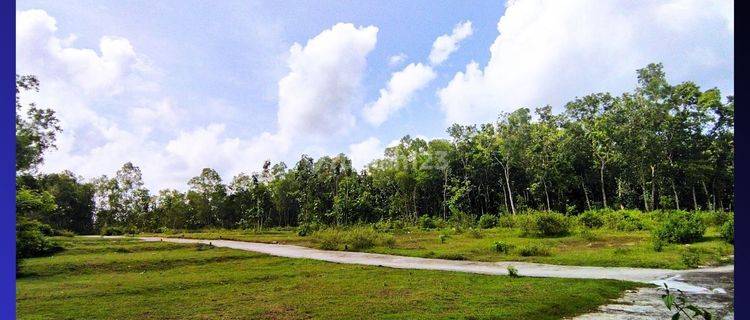 Tanah Panjatan Kulon Progo Dekat SMA N 2 Wates, Siap AJB 1