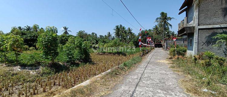 3 Menit Kampus Uad Wates, Tanah Tawangsari Akses Lebar 1