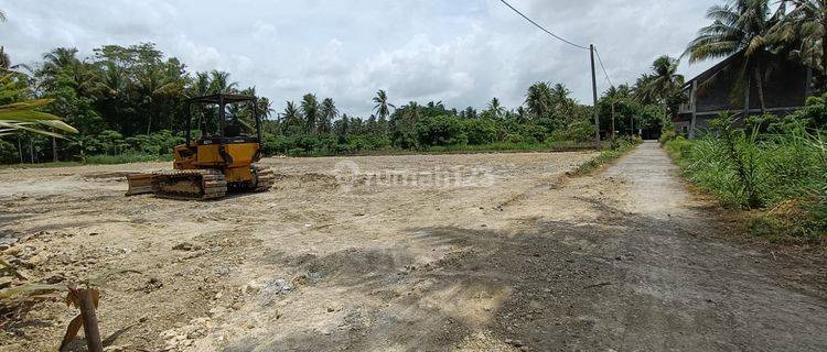 Tanah 100 Jtan Dekat Kelurahan Tawangsari, Akses Lebar 1