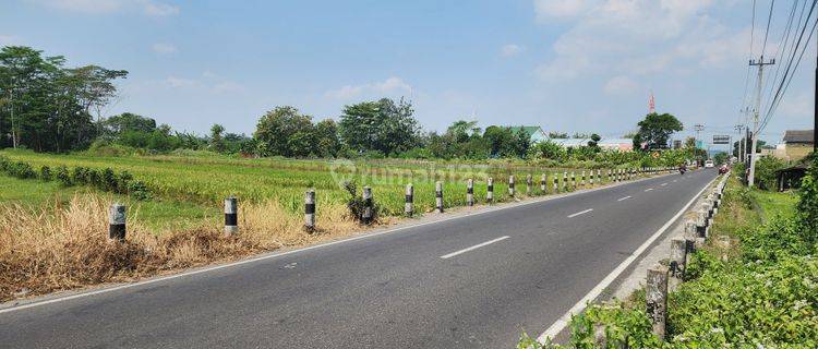 Tanah Tepi Jln. Sidokarto Godean, Cocok Untuk Hunian/Investasi  1