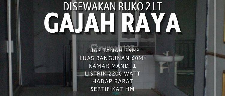 DISEWAKAN RUKO DI GAJAH MURAH MINIMAL 2 TAHUN 1