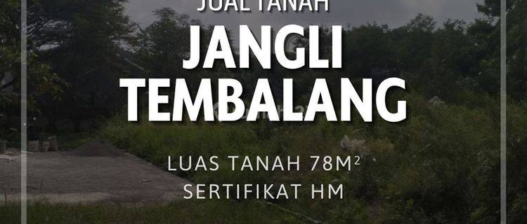 DIJUAL TANAH MURAH DI JANGLI SEMARANG 1