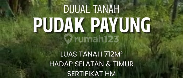 Dijual Tanah di Pudak Payung Banyumanik Semarang 1