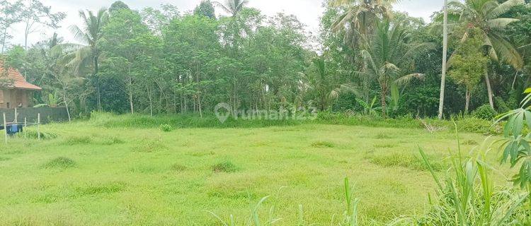 Dijual Tanah Area Ubud Cocok Buat Villa Investasi 1