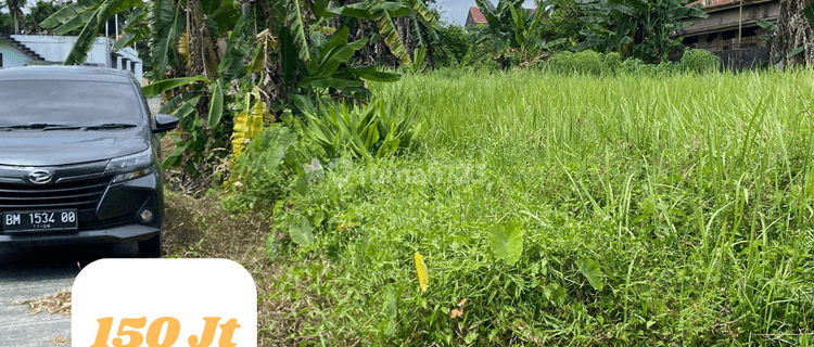 Tanah Dijual Rambutan Iii, Profit 30 , 4 Menit Ke Sdn 42. 1