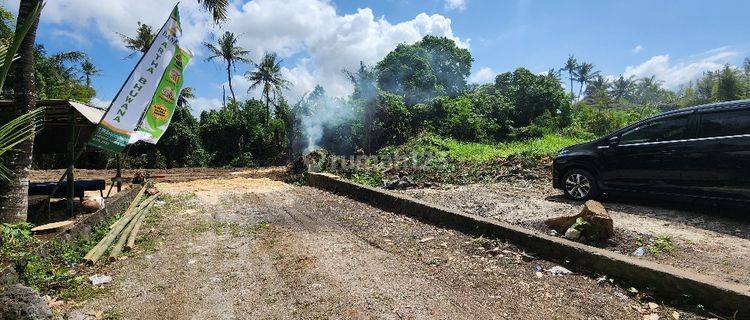 Tanah Kavling View Sawah Dan Sungai ,pering, Gianyar  1