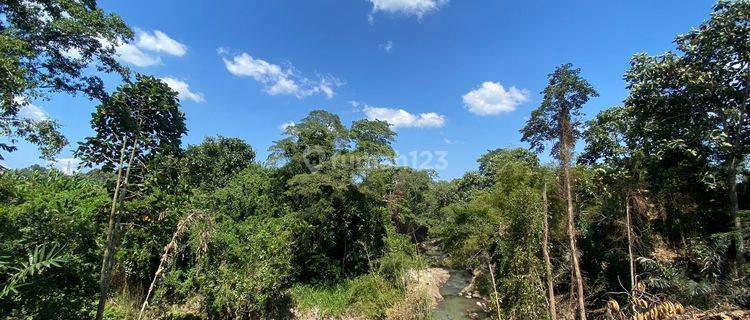 Plot of Land View Paddy, Bongan, Tabanan 1