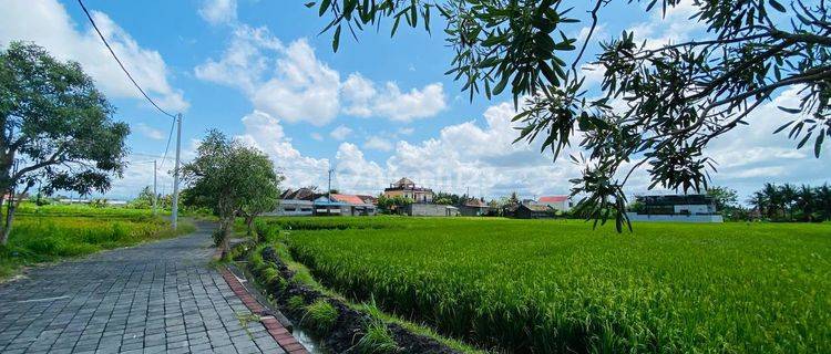 Tanah Kavling Ekslusive Ekonomis Harga Hanya 200 Jutaan/are Dengan Lingkungan Asri View Sawah 360° Di Pering, Blahbatuh, Gianyar Sangat Cocok Untuk Tempat Tinggal & Investasi.lokasi Strategis1. Ke Jl. Bypass Ib Mantra 7 Mnt. 2. Ke Pantai Pering 9 Mnt. 3.  1