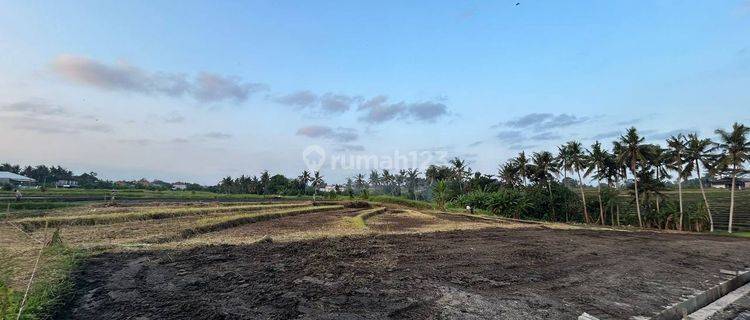 Land For Sale !!tanah Kavling Ekslusive Harga Ekonomis View Sawah Di Jalan Pantai Yeh Gangga Gubug, Tabanan 1