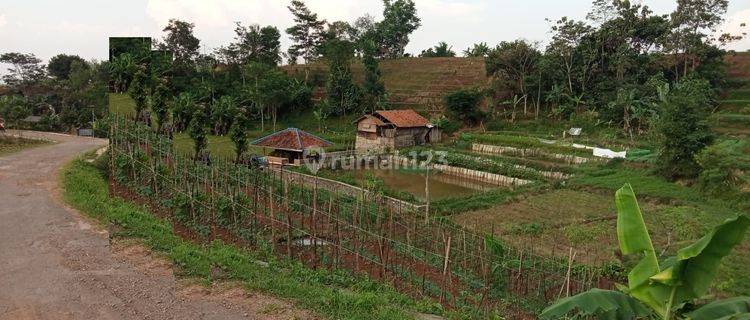 Tanah Strategis Lokasi Sejuk di Cibungur, Soreang 1