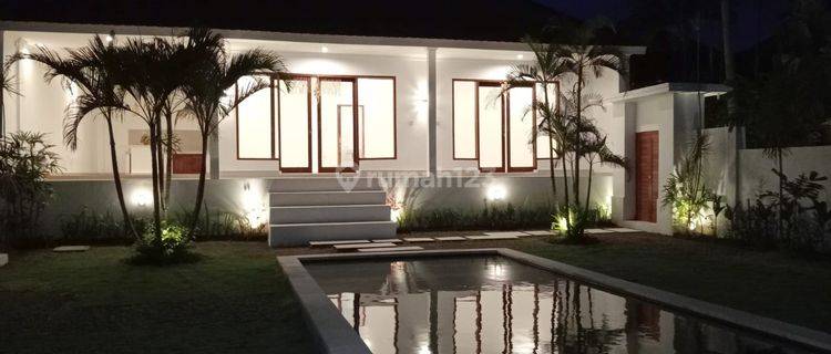 Brand New Villa For Rent With Huge Yard St 0258 1