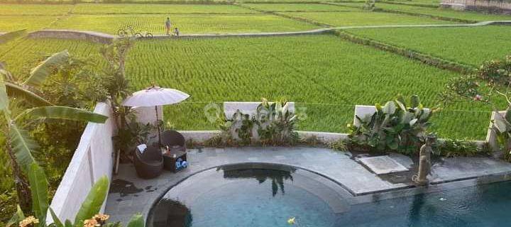 villa view sawah mas ubud 1