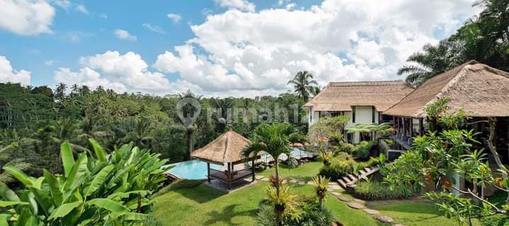 Tegalalang Ubud commercial villa 1