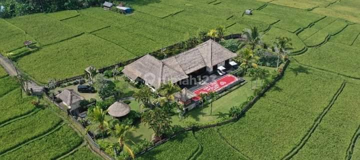 Villa View Sawah Tegalalang Ubud 1