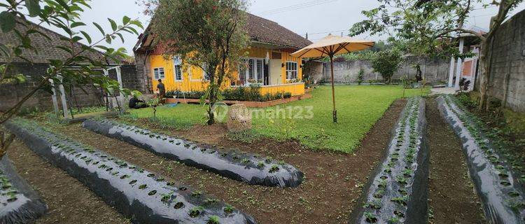 Semi villa house Bedugul Tabanan 1